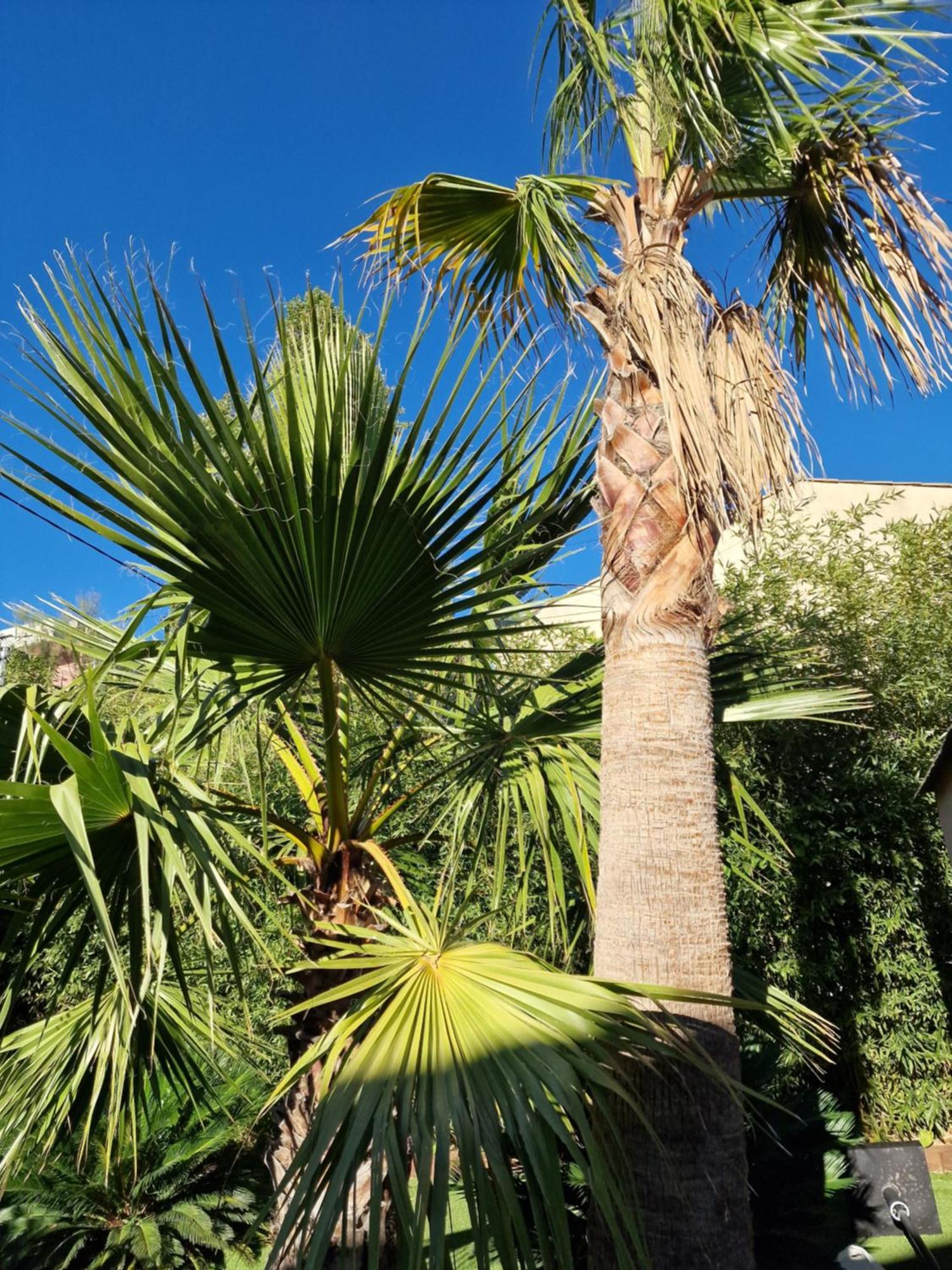 Haut De Villa A 700 Metres De La Plage, Totalement Independant Et Accessible Par Un Escalier Exterieur 圣马克西姆 外观 照片